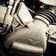 Image for article titled The History Of Jake: Corvette Racing's Mascot
